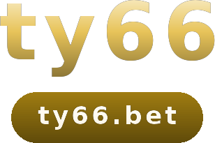 ty66 logo